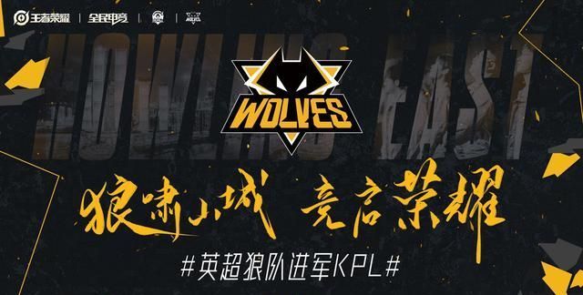 的案例是